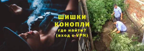 Альфа ПВП Арсеньев
